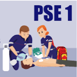 Formation Spécialisée PSE1 2025-09-29